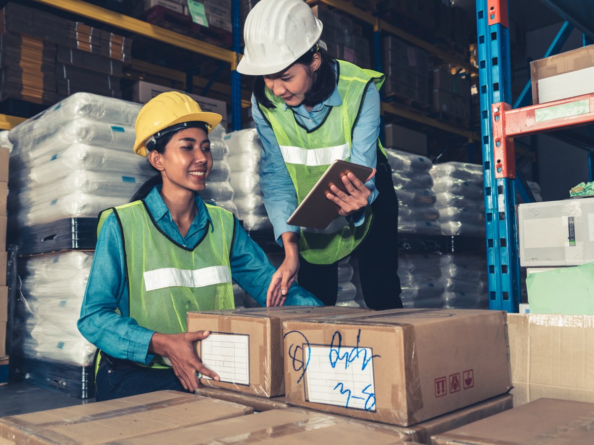 Derecho Procesal del Trabajo&nbsp;II