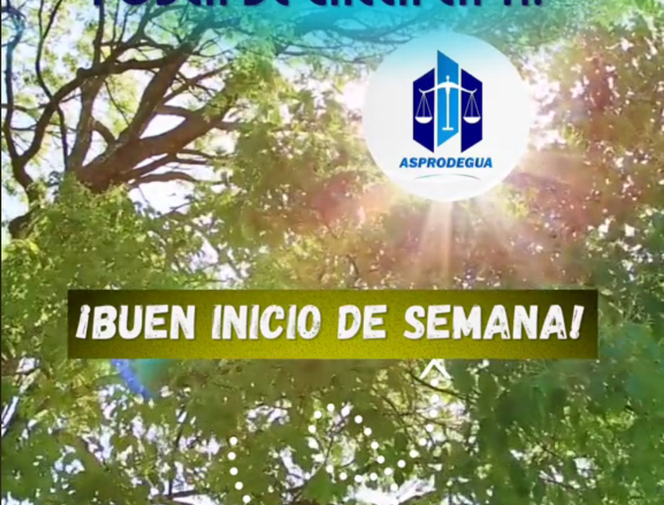 ¡Buen inicio de semana!